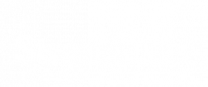 stronglink logo white 1