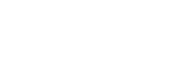 stronglink logo white 1